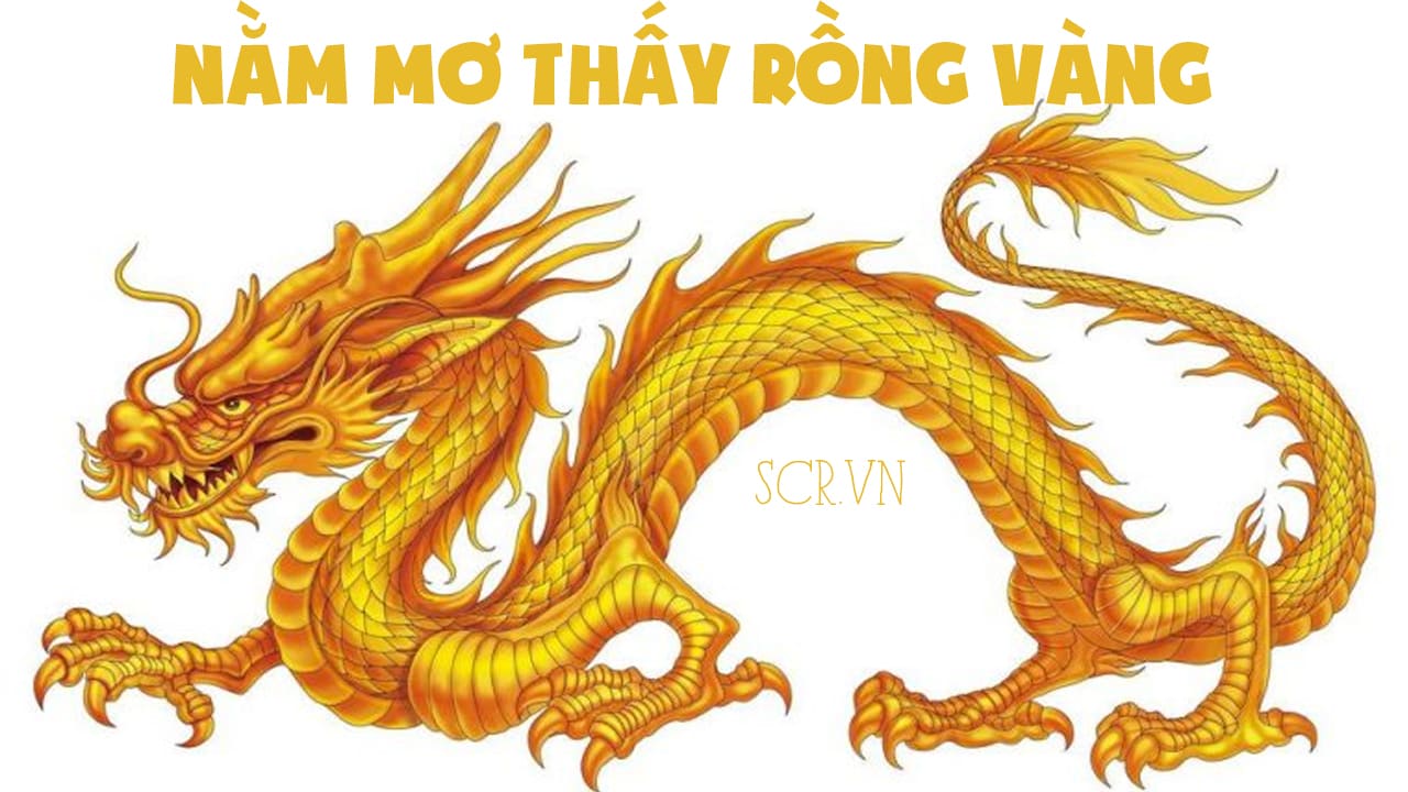 Nằm mơ thấy con rồng vàng - Giấc mơ mang điềm báo may mắn hay xui xẻo?